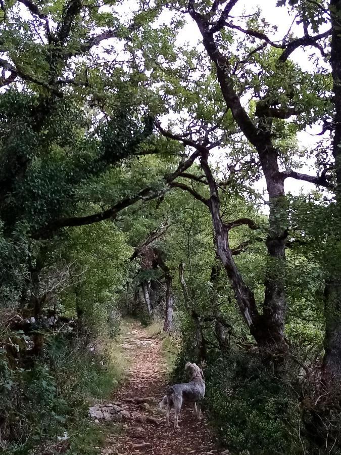 Natura Zome Caylus Eksteriør bilde